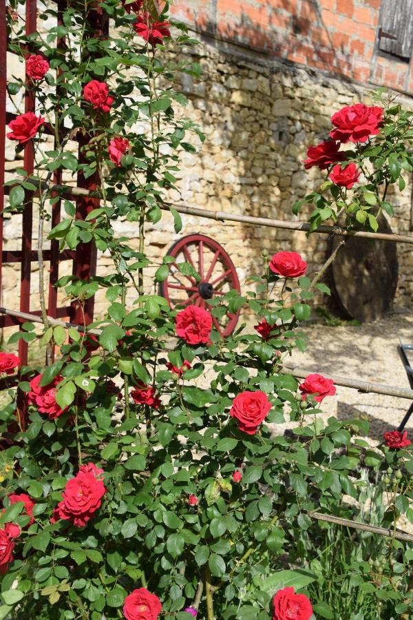 La Chabotine Bed & Breakfast Allas-Les-Mines Luaran gambar