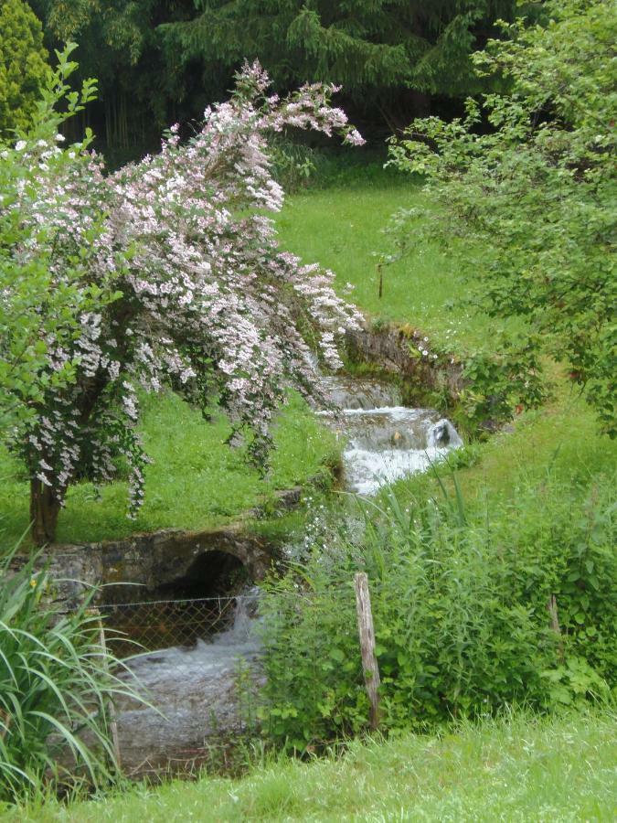 La Chabotine Bed & Breakfast Allas-Les-Mines Luaran gambar