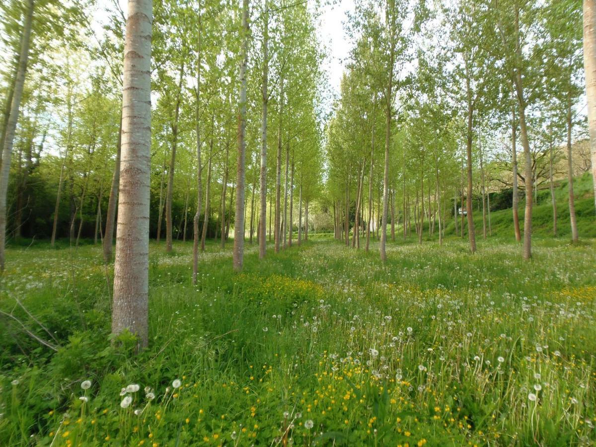 La Chabotine Bed & Breakfast Allas-Les-Mines Luaran gambar